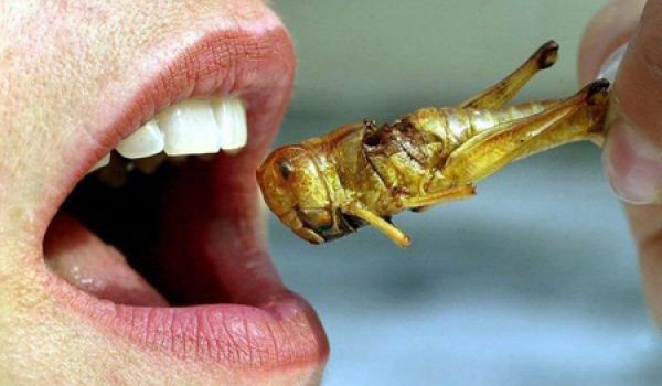Horrible Facts